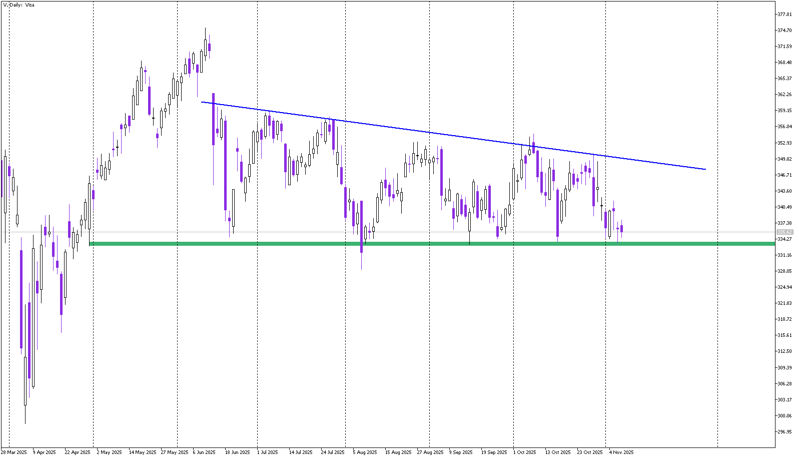 Stock of the Day: Visa