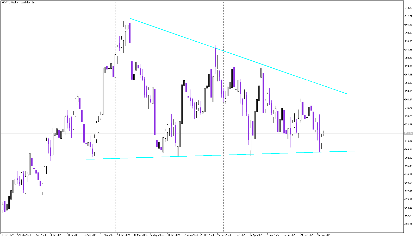 Stock of the day: Workday